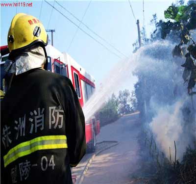 醴陵西山火灾多部门联合8扑救小时(图)