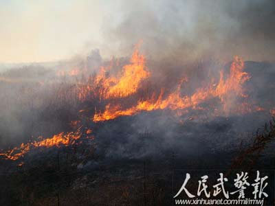 组图：春城消防75度绝壁攀岩灭火迎新年