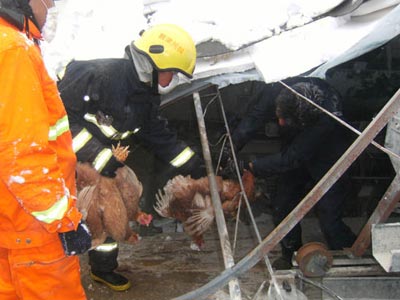 组图：宁夏消防官兵奋勇抗击冰雪灾害