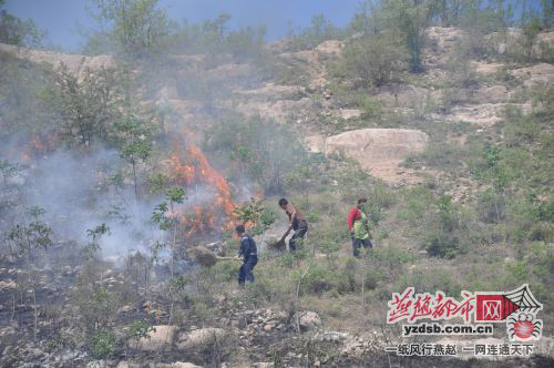 石家庄莲花山发生火灾 疑吸烟导致/图