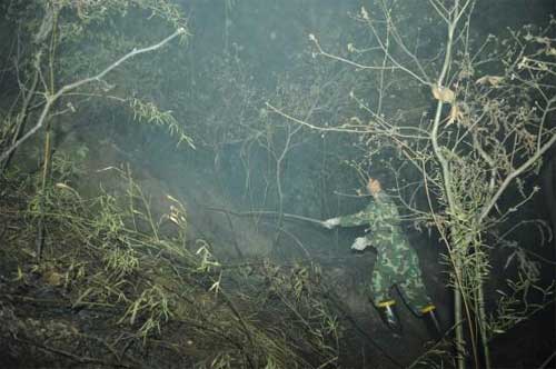 组图：重庆市主城区发生大面积山火