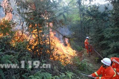 野战部队出动一个团 增援重庆消防对抗山火