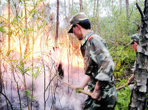 邵武：农民烧稻草引大火 400亩山林被毁