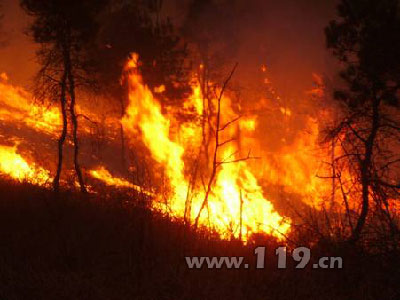 组图：武汉新洲山火 当地警民联合扑救