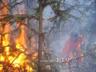 组图：武汉新洲山火 当地警民联合扑救