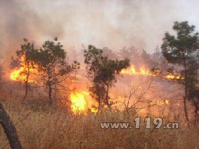 组图：武汉新洲山火 当地警民联合扑救