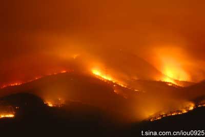 组图：盘点2011年损失重大森林火灾