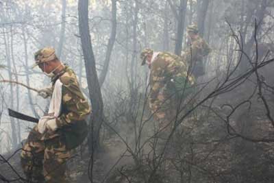 组图：云南保山森林大火起火面积超400亩