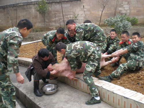 自己宰猪 贵州铜仁消防官兵的年夜饭