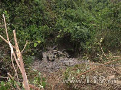 组图：甘蔗车翻下山 消防徒步进山底救人