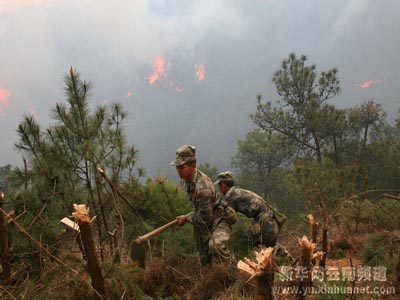 400名官兵全力投入云南隆阳林火扑救/图