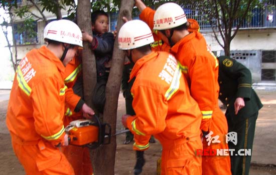 小孩腿部被树卡住 泸溪消防紧急救援/图