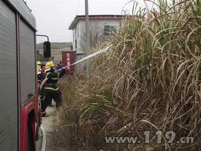 组图：广西省50亩甘蔗地起火威胁炸药库