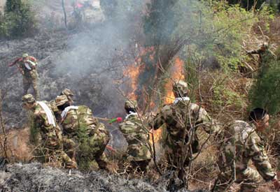 山林大火 武警某部500名应考新兵勇扑灭