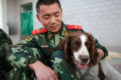 组图：宁夏消防搜救犬分队正式投入执勤