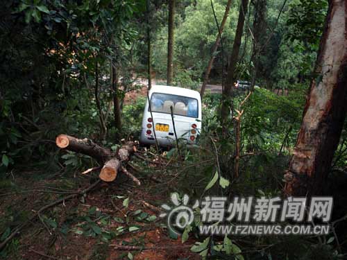 福建旗山森林公园惨剧：中巴失控致1死6伤