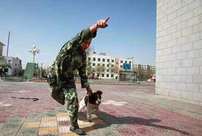 组图：宁夏消防搜救犬分队正式投入执勤