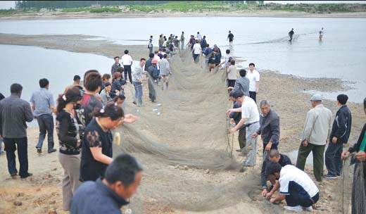 沈阳新民4名少年野浴时被河水“吞没”