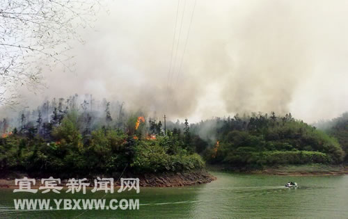 组图：蜀南竹海遇山火 千亩竹林受灾