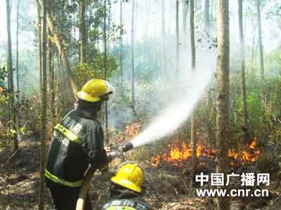 天干树燥诱发树林大火 消防火速扑救/图