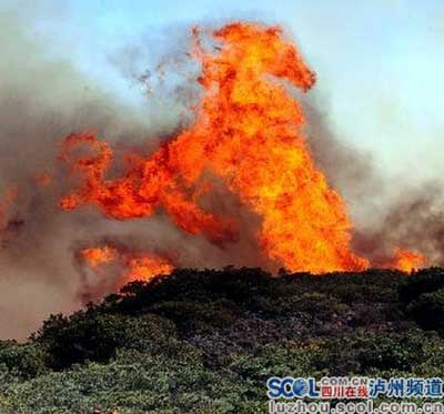 组图：干部群众4小时奋战扑灭山林大火