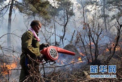 组图：秦皇岛山火面积超7000亩 万人扑救