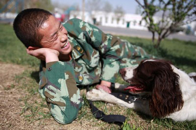 组图：宁夏消防搜救犬分队正式投入执勤