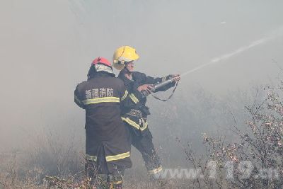 中哈边境突发大火 伊犁消防联手扑救