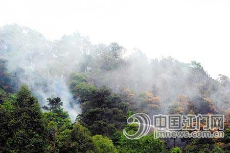 江门鸡爪山火灾 大火烧过半边山（图）