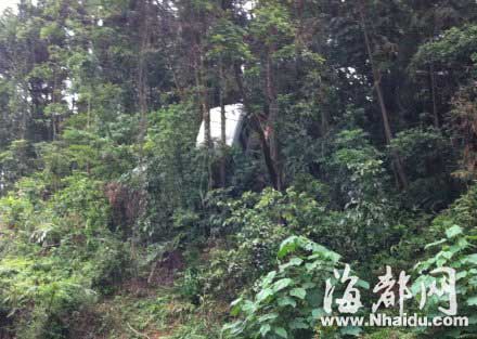 福建旗山森林公园惨剧：中巴失控致1死6伤