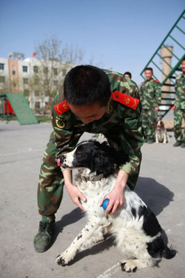 组图：宁夏消防搜救犬分队正式投入执勤