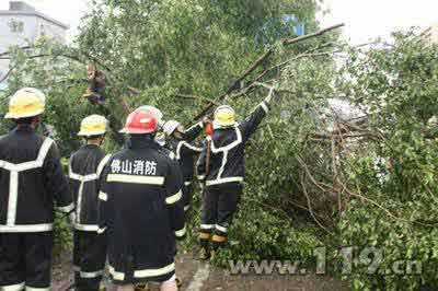 冰雹龙卷风袭击佛山 消防紧急驰援救人/图