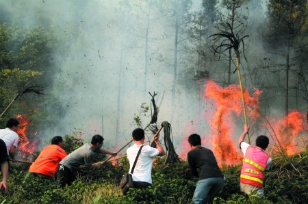 荣昌鸦屿山突发山火 1500军民合力扑救