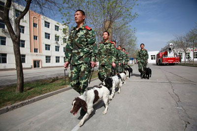 组图：宁夏消防搜救犬分队正式投入执勤