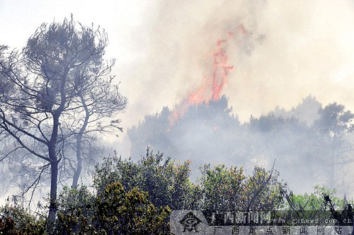 两女祭拜引山林大火 火蹿进围墙危万吨油库