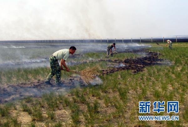 蒙古国发生草原大火 大量黄羊突入我国