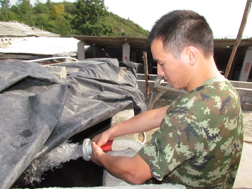 1000只山羊叫“渴” 德江消防送水解渴