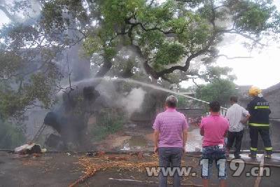 百年古樟遭雷击起火 吉安消防2小时扑救