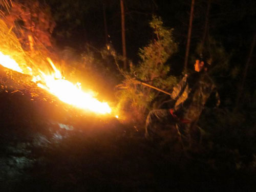 夜晚山火“偷袭”村庄 警民联手成功扑救