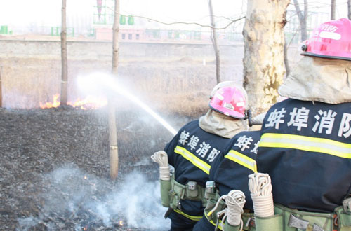 安徽101省道野草燃烧危急树林 消防急救