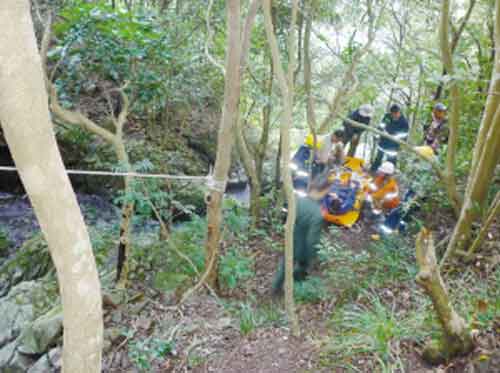 7驴友迷路蝴蝶谷 被困山中3个小时救出