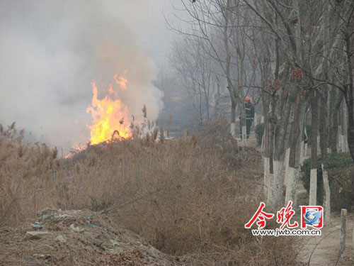 组图：天津月牙河旁空地起火 浓烟滚滚