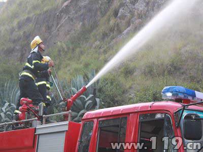 组图：森林突发大火 消防紧急出动排险