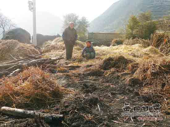 兰州榆中一麦场夜晚起火 3万斤麦草被焚