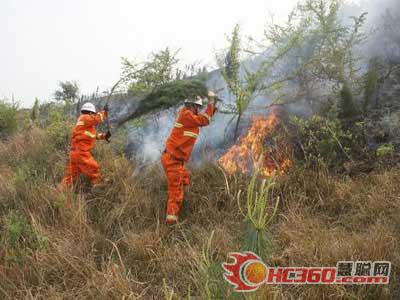 山林突发火灾危及80余亩森林 消防出击