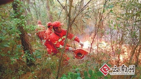 云南大营街突发山火 滚滚浓烟飘向玉溪城