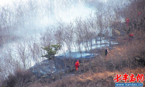 远红外防火探测仪 出现着火点可自动报警