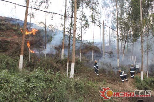 峨眉山市山火肆虐 现场黑烟滚滚（图）