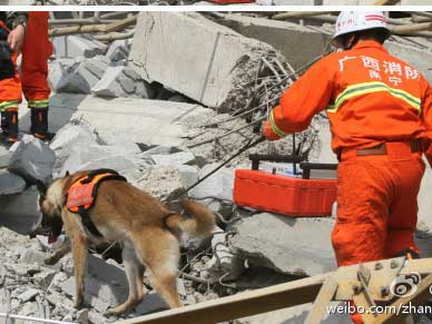 组图：南宁住宅楼倒塌伤亡不明 搜救犬搜救