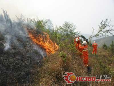 山林突发火灾危及80余亩森林 消防出击